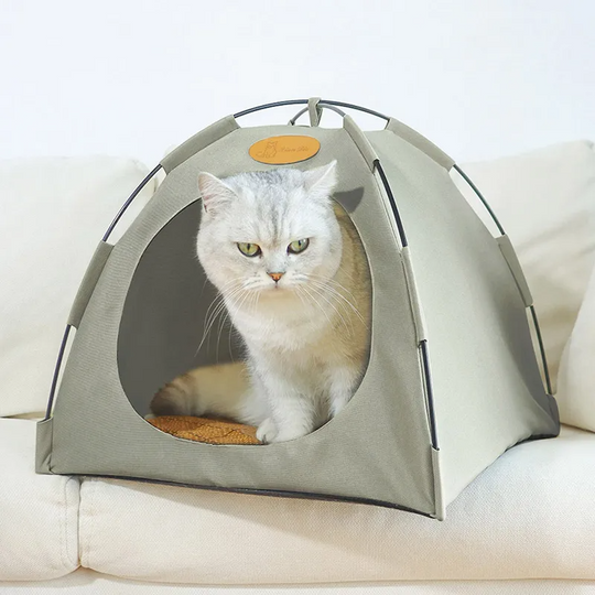 Katten Tent Ademend Ontwerp Draagbaar 2
