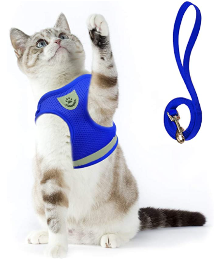 Katten Tuigje voor Avontuurlijke Wandeling met Reflecterende Strips 10