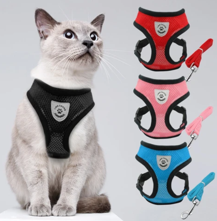 Katten Tuigje voor Avontuurlijke Wandeling met Reflecterende Strips 8