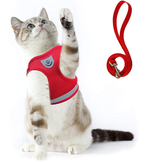 Katten Tuigje voor Avontuurlijke Wandeling met Reflecterende Strips 9