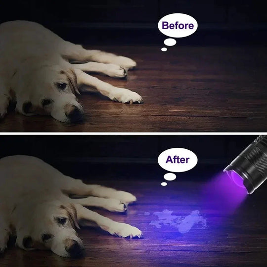 LED UV Zaklamp voor Inspectie 3