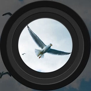 Nachtkijker voor Avonturen met Groot Bereik en Digitale Zoom 1