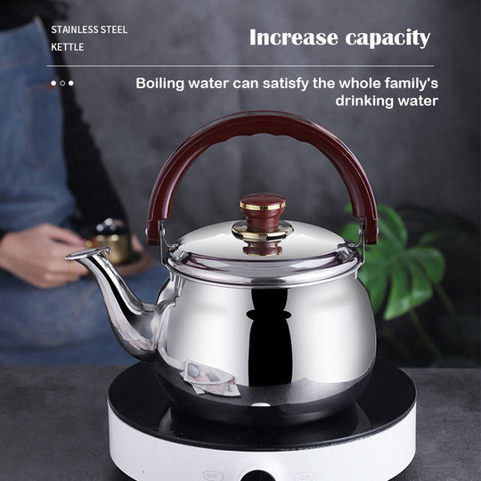 RVS Waterkoker Dikwandige Fluitpot 1