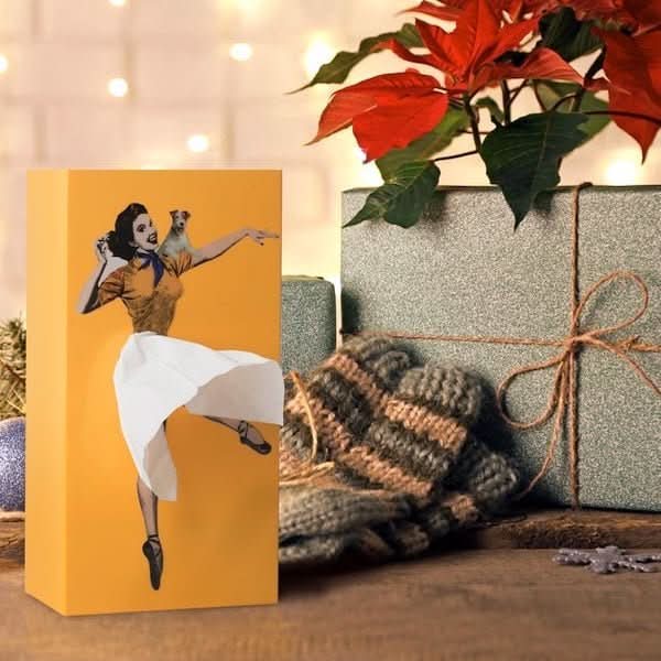 Speelse Tissue Box voor Creatieve Interieurdecoratie 1