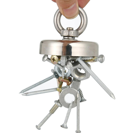 Vis magneet