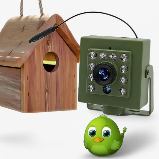 WLAN-camera voor Vogels Kijken met Nachtzicht 1