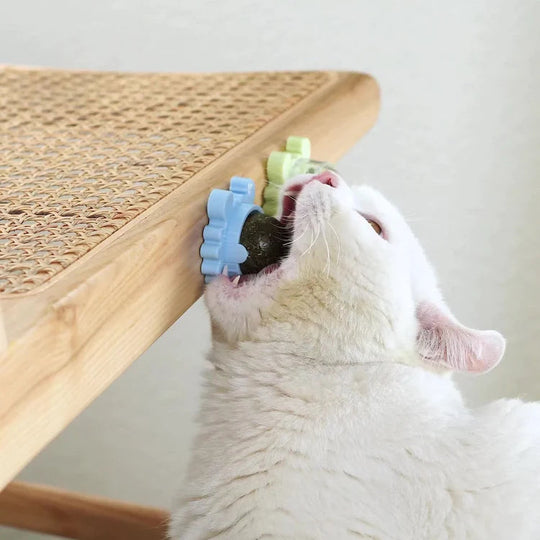 Krab Draaibare Kattenkruid Bal