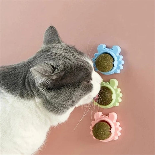 Krab Draaibare Kattenkruid Bal