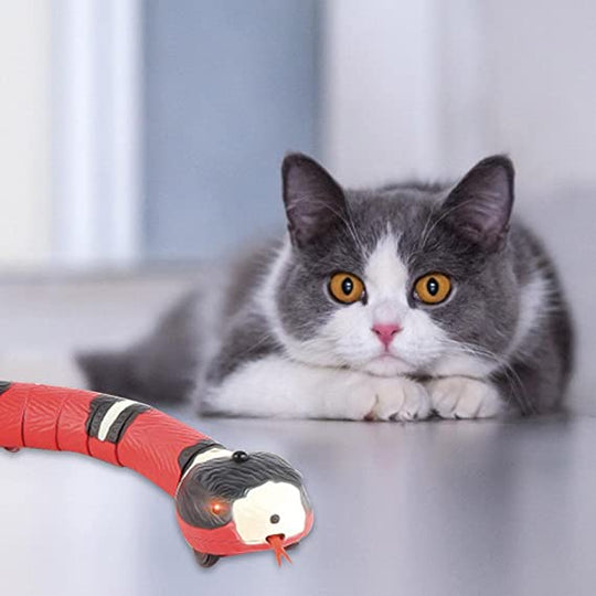 Slang Kattenspeelgoed Belleza