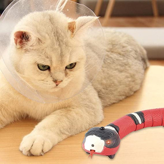 Slang Kattenspeelgoed Belleza