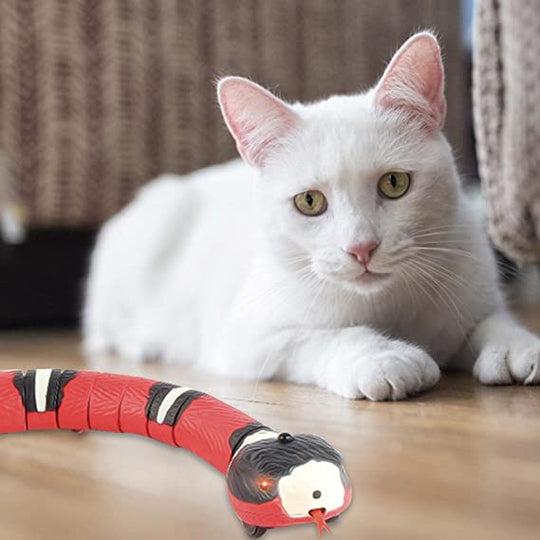 Slang Kattenspeelgoed Belleza