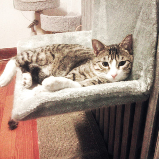 Kat Radiator Hangmat Belleza
