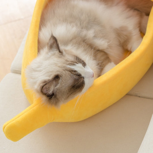 Grappig Bananen Kattenbed