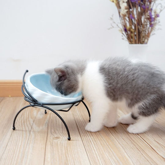 Shell Keramische Voerbak Bowl