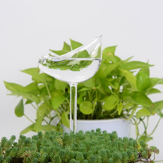 Zelf-drenkende Plantenbol Belleza