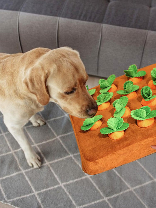 Hond Wortel Pluche Speelgoed