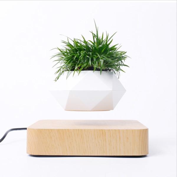 Heflucht Bonsai Pot Belleza