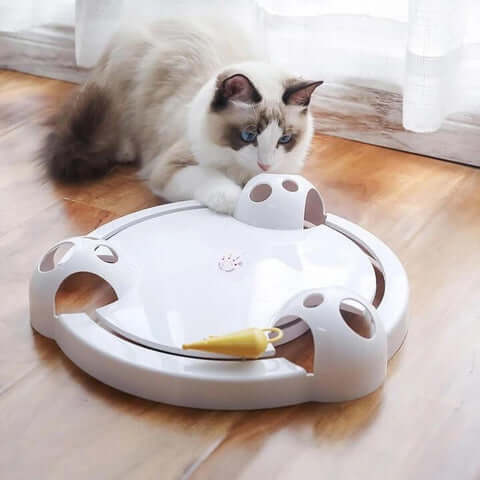 Pounce Kattenspeeltje Belleza