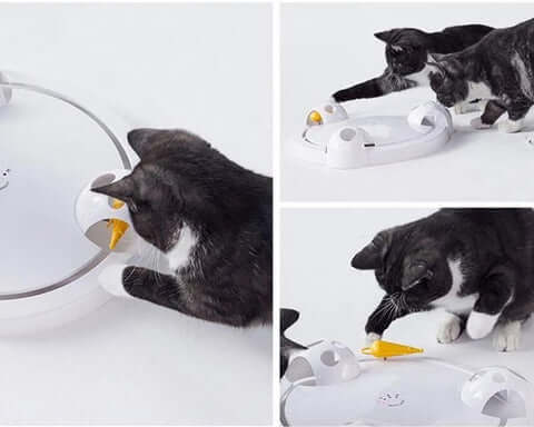Pounce Kattenspeeltje Belleza