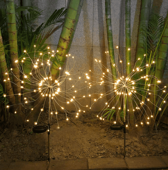 Vuurwerk Fee Licht
