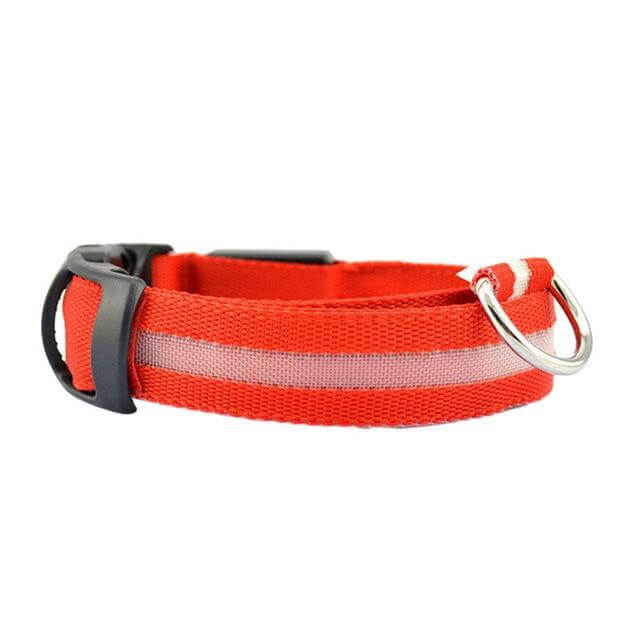 LED Halsband