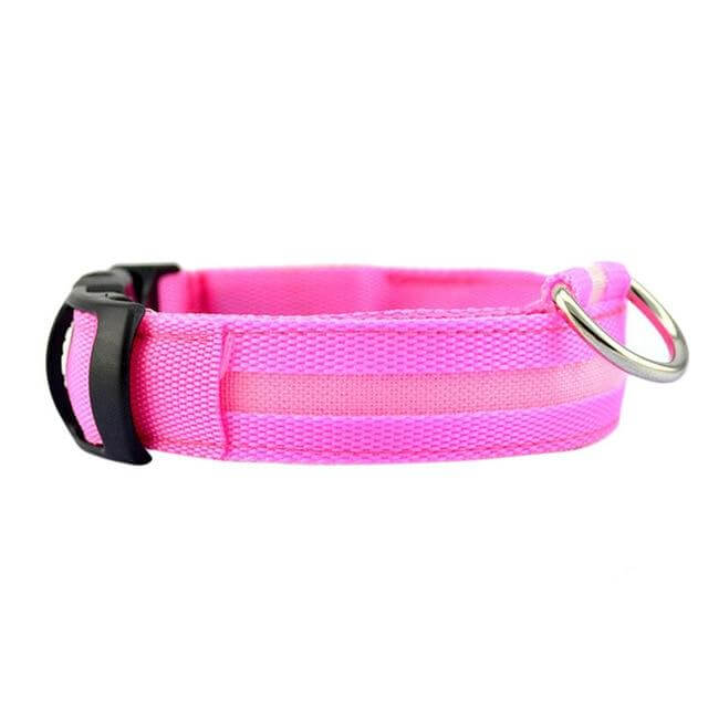 LED Halsband