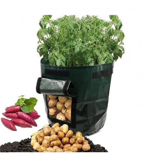 Aardappel Groeiende Zak Belleza