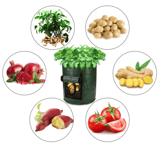 Aardappel Groeiende Zak Belleza