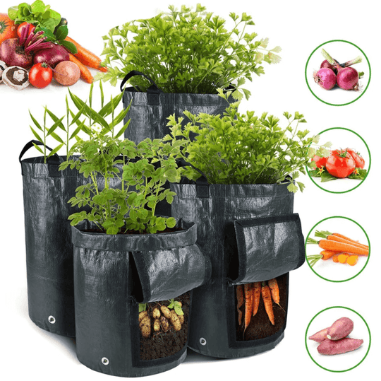 Aardappel Groeiende Zak Belleza