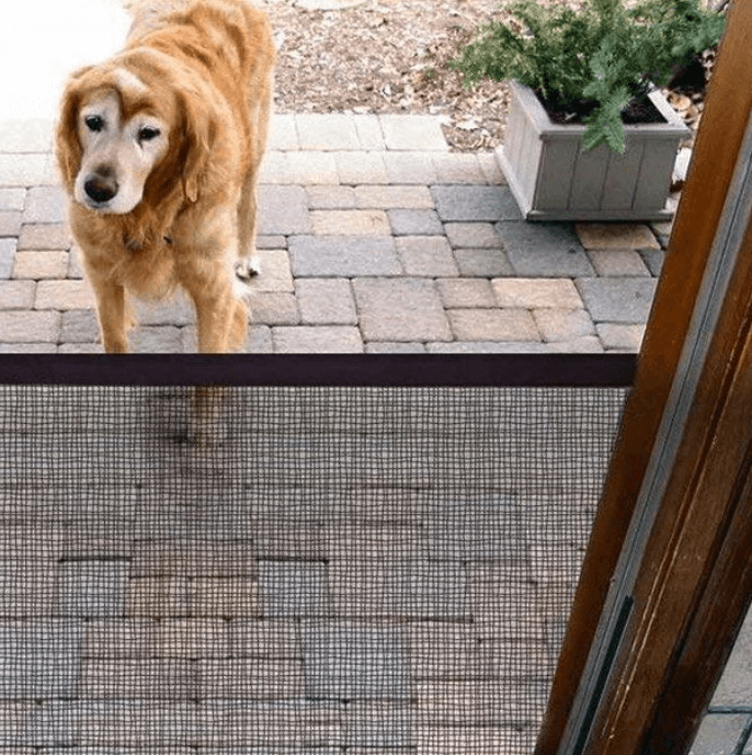 Huisdieren Veiligheidsdeur Bewaker Belleza