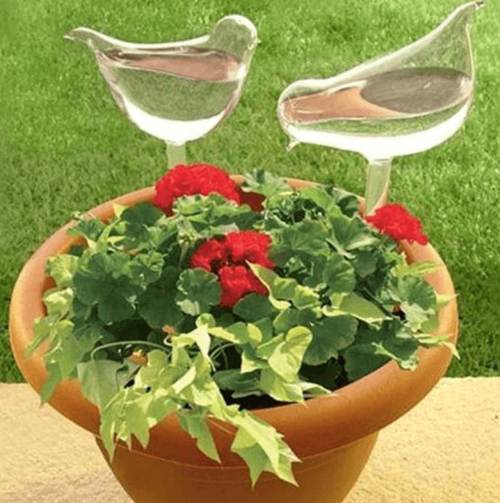 Zelf-drenkende Plantenbol Belleza